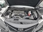 2024 Toyota Camry SE Night Shade