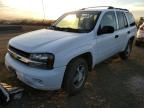 2007 Chevrolet Trailblazer LS