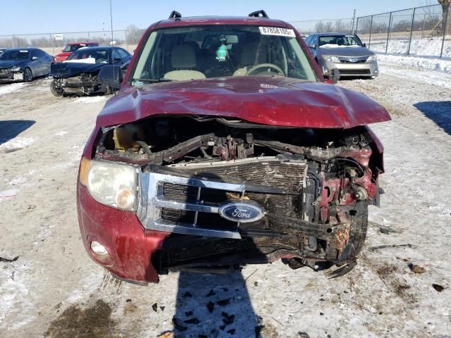 2008 Ford Escape XLT