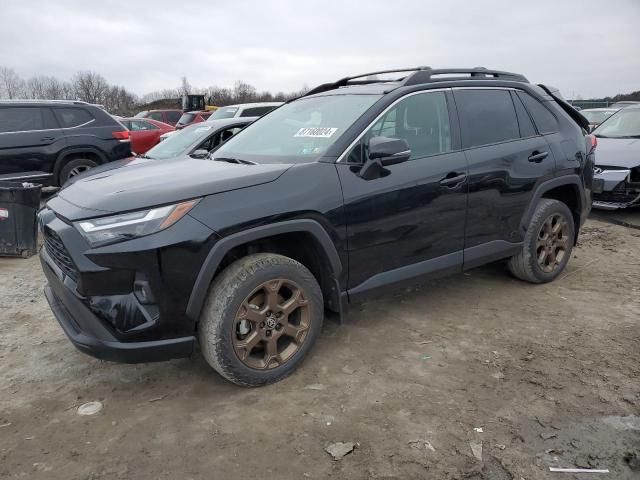 2023 Toyota Rav4 Woodland Edition