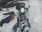 2003 Harley-Davidson Flstf