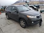 2011 KIA Sorento Base