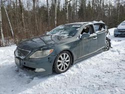 Carros salvage a la venta en subasta: 2007 Lexus LS 460