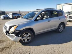 Salvage cars for sale at Albuquerque, NM auction: 2010 Toyota Rav4