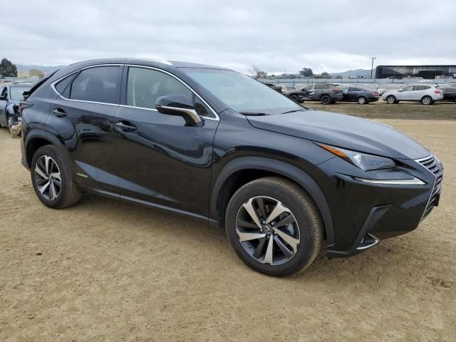 2019 Lexus NX 300H