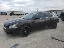 Salvage cars for sale at Temple, TX auction: 2014 Nissan Maxima S