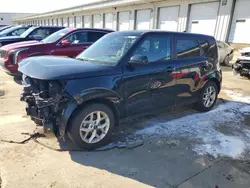 Salvage cars for sale at Louisville, KY auction: 2024 KIA Soul LX