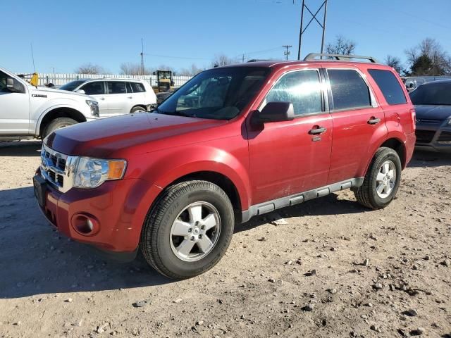 2012 Ford Escape XLT