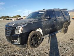 Cadillac salvage cars for sale: 2017 Cadillac Escalade Luxury