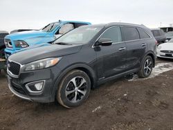 Salvage cars for sale at Brighton, CO auction: 2017 KIA Sorento EX