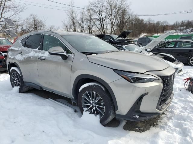 2023 Lexus NX 350