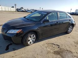 Salvage cars for sale at Fresno, CA auction: 2007 Toyota Camry CE