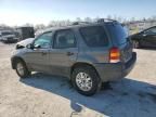 2004 Ford Escape XLT