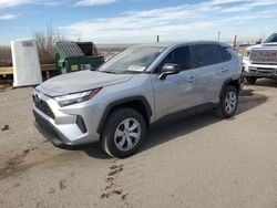 Salvage cars for sale at Albuquerque, NM auction: 2024 Toyota Rav4 LE