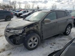 Salvage cars for sale at Wayland, MI auction: 2015 Toyota Rav4 XLE