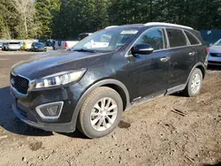 Salvage cars for sale at Graham, WA auction: 2016 KIA Sorento LX