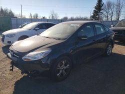 Salvage cars for sale at Bowmanville, ON auction: 2013 Ford Focus SE