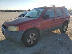 Ford Escape salvage cars for sale: 2004 Ford Escape XLT