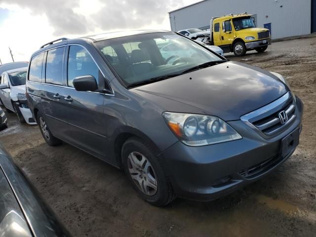 2007 Honda Odyssey EXL