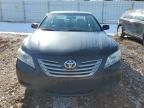 2008 Toyota Camry Hybrid