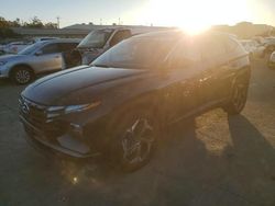 Salvage cars for sale at auction: 2024 Hyundai Tucson SEL Convenience