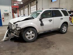 Salvage cars for sale at Blaine, MN auction: 2011 Ford Escape XLT