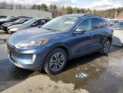 Ford Escape sel salvage cars for sale: 2020 Ford Escape SEL