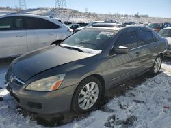 2006 Honda Accord EX en venta en Littleton, CO