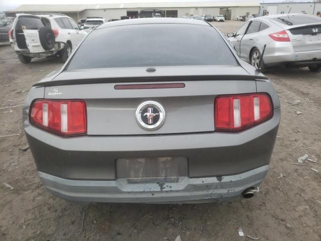 2010 Ford Mustang