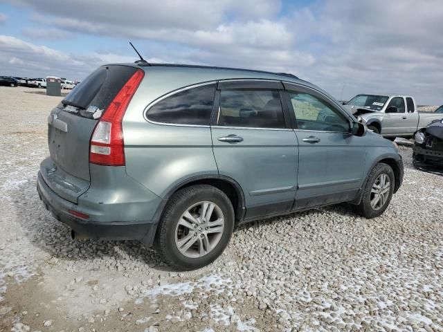 2010 Honda CR-V EXL