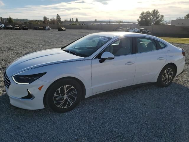 2023 Hyundai Sonata Hybrid