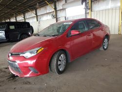 Salvage cars for sale from Copart Phoenix, AZ: 2016 Toyota Corolla L