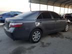 2009 Toyota Camry Hybrid