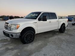 Vehiculos salvage en venta de Copart Arcadia, FL: 2010 Ford F150 Supercrew