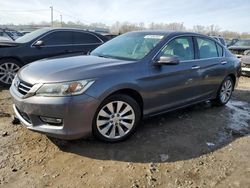 Honda salvage cars for sale: 2013 Honda Accord EXL