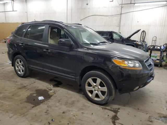 2009 Hyundai Santa FE SE