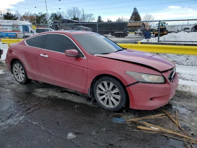 2010 Honda Accord EXL