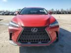 2024 Lexus NX 250 Premium