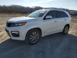 Salvage cars for sale at Chambersburg, PA auction: 2012 KIA Sorento SX