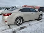 2013 Lexus ES 300H