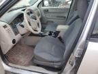 2008 Ford Escape XLS