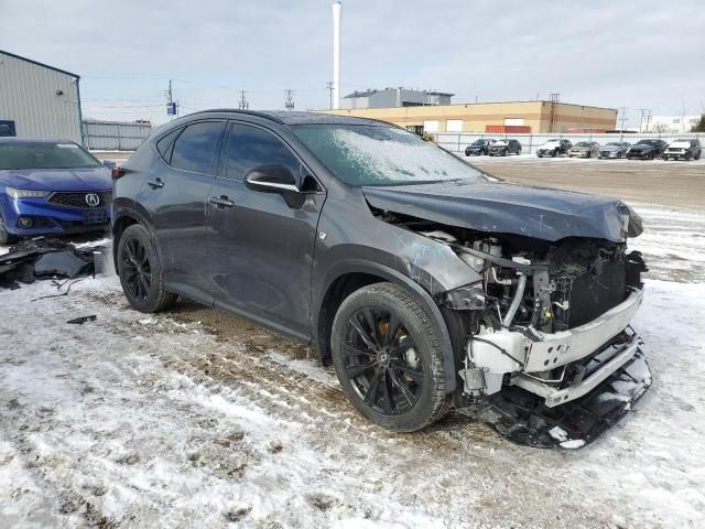 2024 Lexus NX 350 Luxury