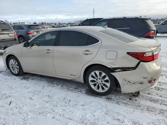 2013 Lexus ES 300H