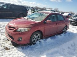 Salvage cars for sale at auction: 2011 Toyota Corolla Base