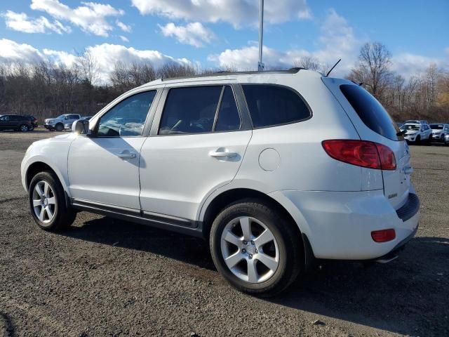 2009 Hyundai Santa FE SE