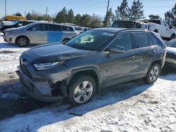 Salvage cars for sale at Denver, CO auction: 2024 Toyota Rav4 XLE