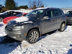 Volkswagen Tiguan salvage cars for sale: 2015 Volkswagen Tiguan S