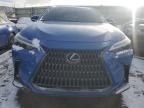 2023 Lexus NX 350H