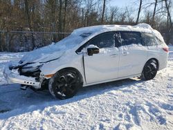 Honda Odyssey sp Vehiculos salvage en venta: 2024 Honda Odyssey Sport