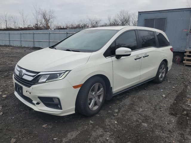 2019 Honda Odyssey EXL